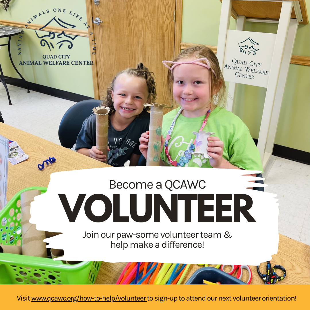 Volunteer orientation graphic reich